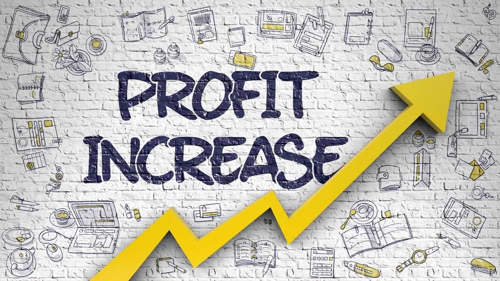 HOW TO INCREASE PROFITABILITY IN YOUR BUSINESS - Vital Statistics